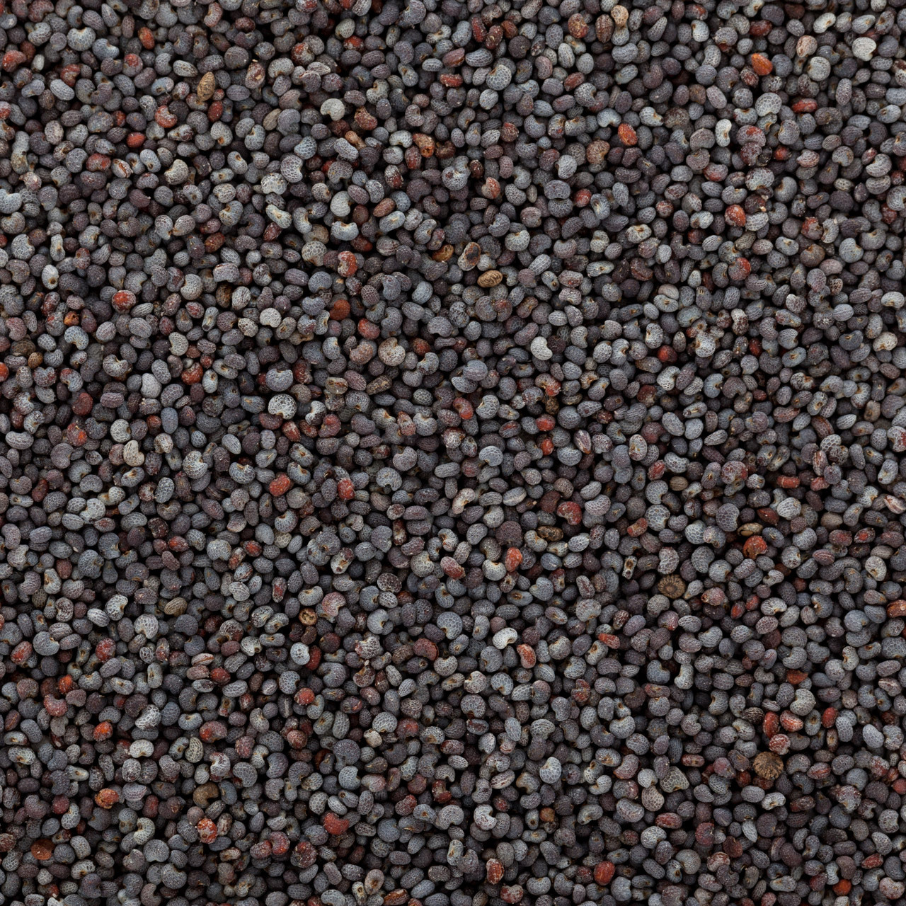poppy-seeds-wallpaper-resized.jpg