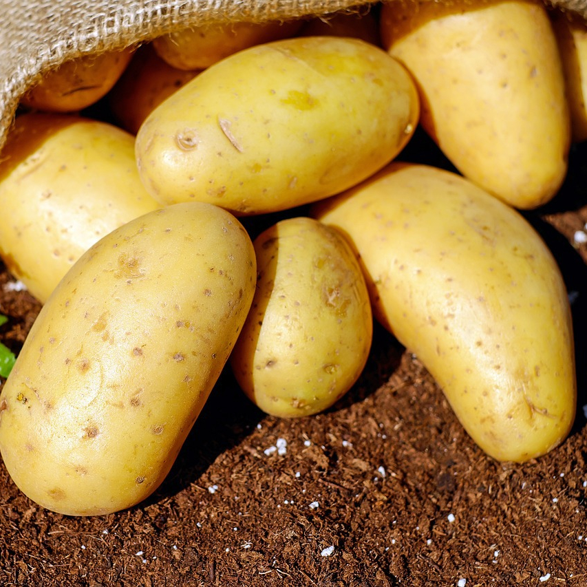 potatoes-1585075_1280-resized.jpg