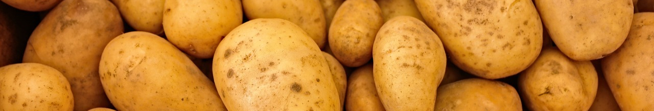 potatoes-411975_1280-resized.jpg