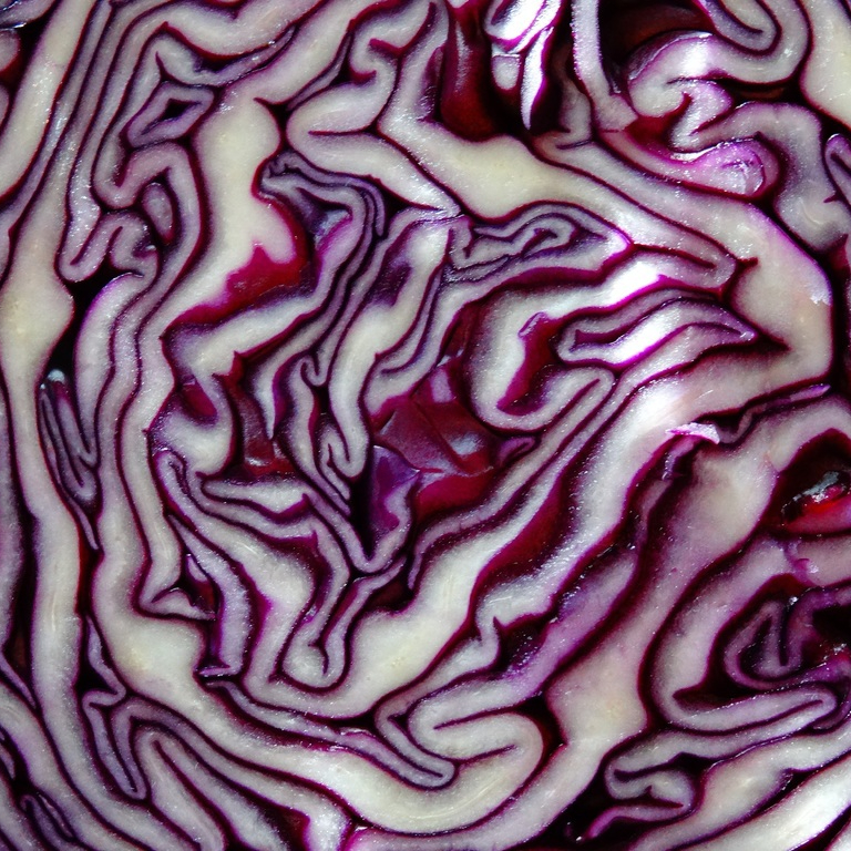 purple-food-red-produce-vegetable-cabbage-596607-pxhere.com-resized.jpg