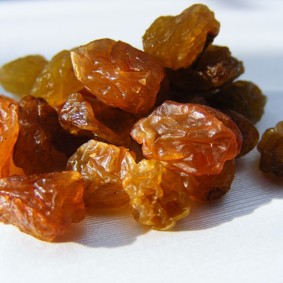 raisins-88532_1280-resized.jpg
