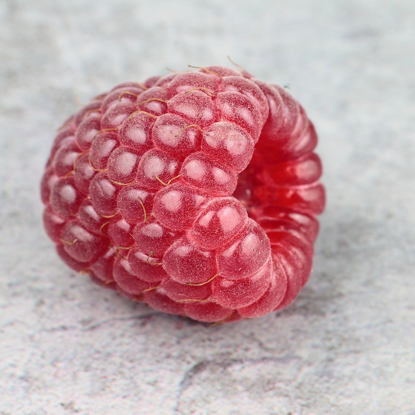 raspberry-2635886_1280-resized.jpg