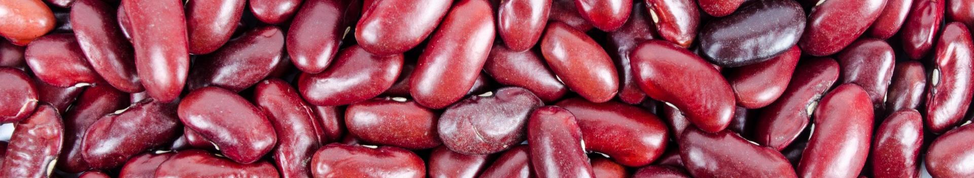 red-kidney-beans-1391269426G1g-resized.jpg