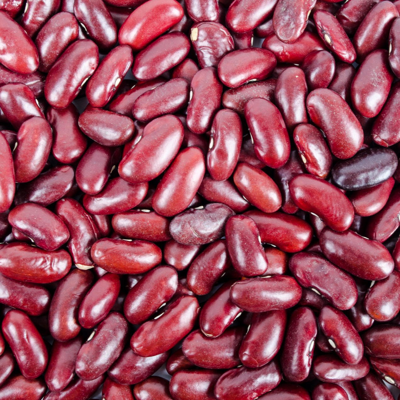 red-kidney-beans-1391269426G1g-resized.jpg
