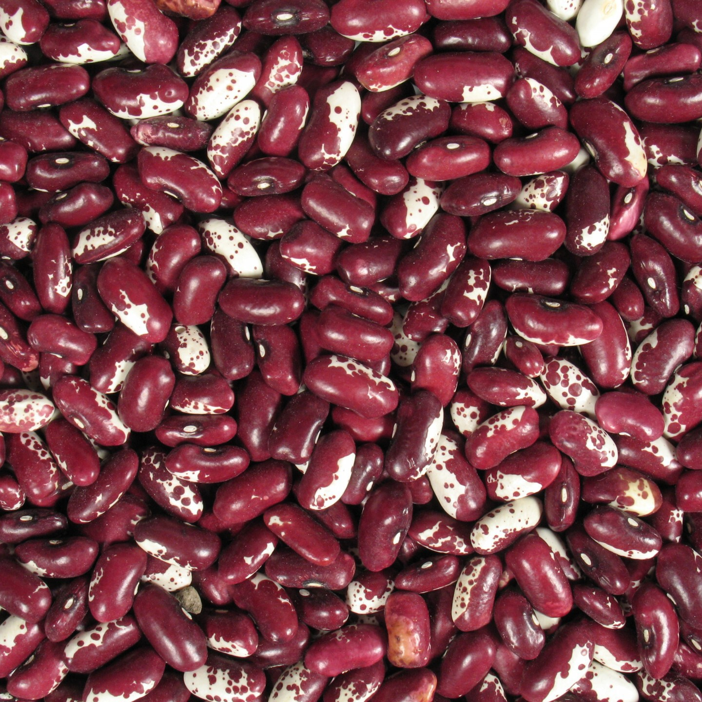 red-kidney-beans-1424954996Ifj-resized.jpg