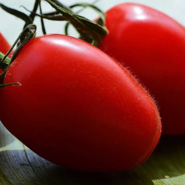 red-tomatoes-vegetables-macro-food-wallpaper-preview-resized.jpg