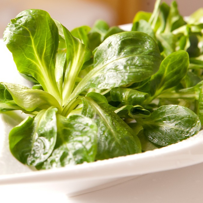 salad-1197845_1280-resized.jpg