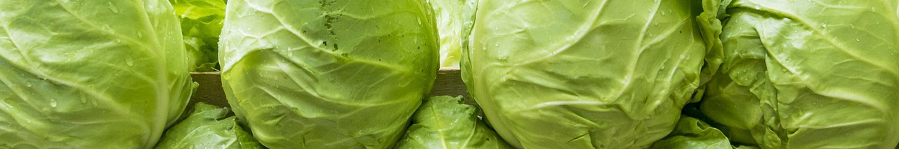 salad-1558662_1280-resized.jpg