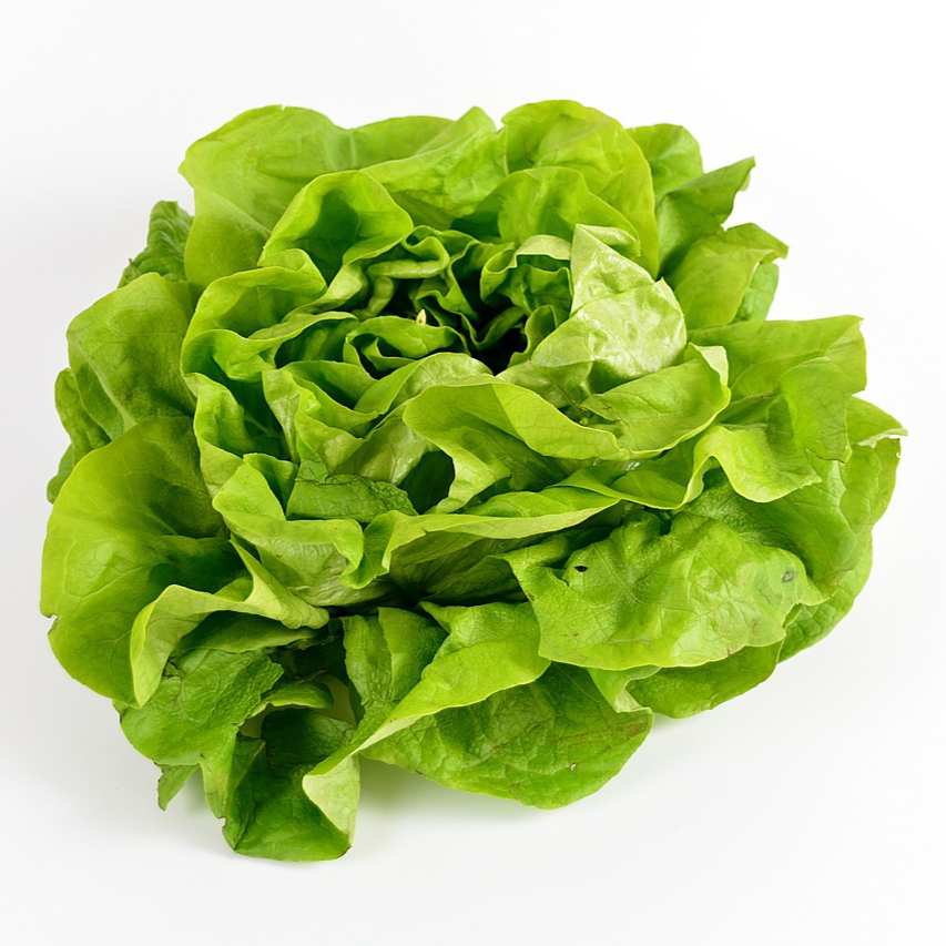 salad-2114149_1280-resized.jpg