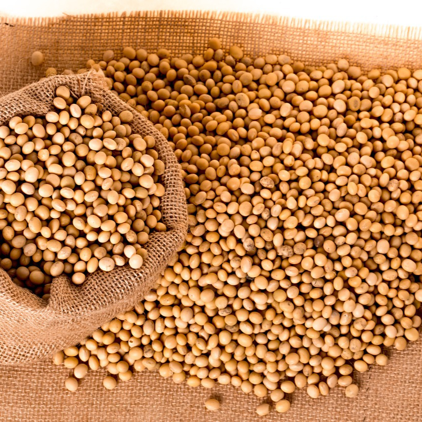 soybeans-2039638_1280-resized.jpg