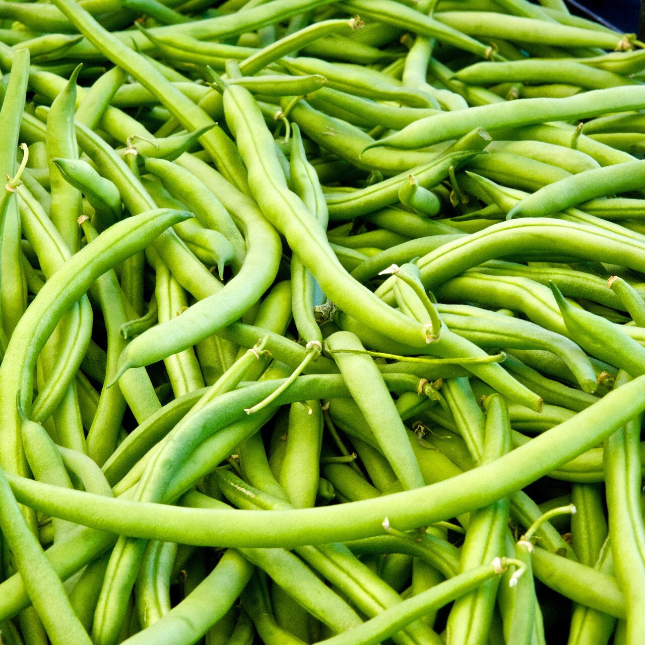 string-green-beans-resized.jpg