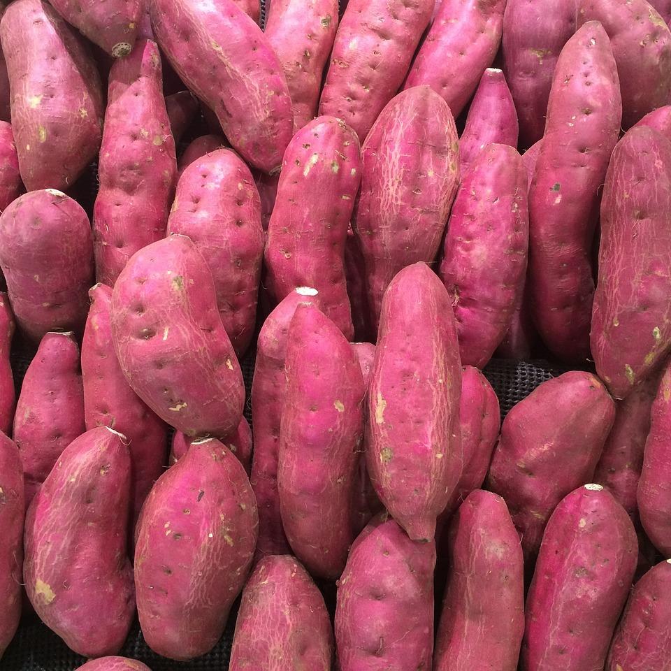 sweet-potato-1666707_1280-resized.jpg