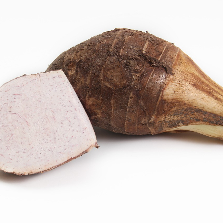 taro-1686669_1280-resized.jpg