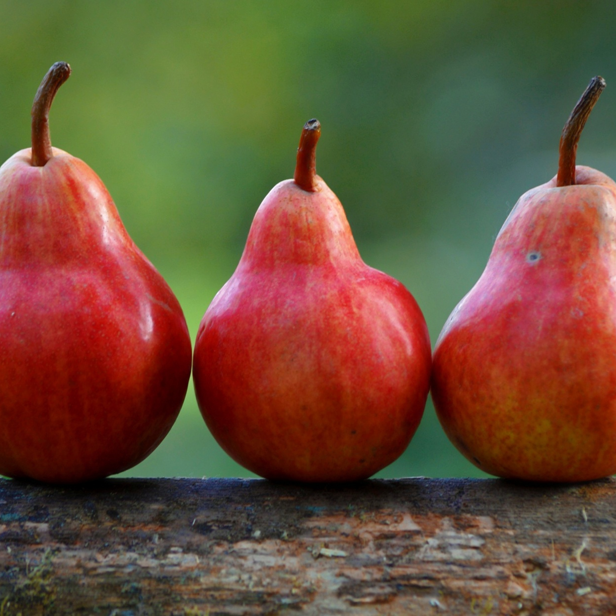 three-pears-resized.jpg
