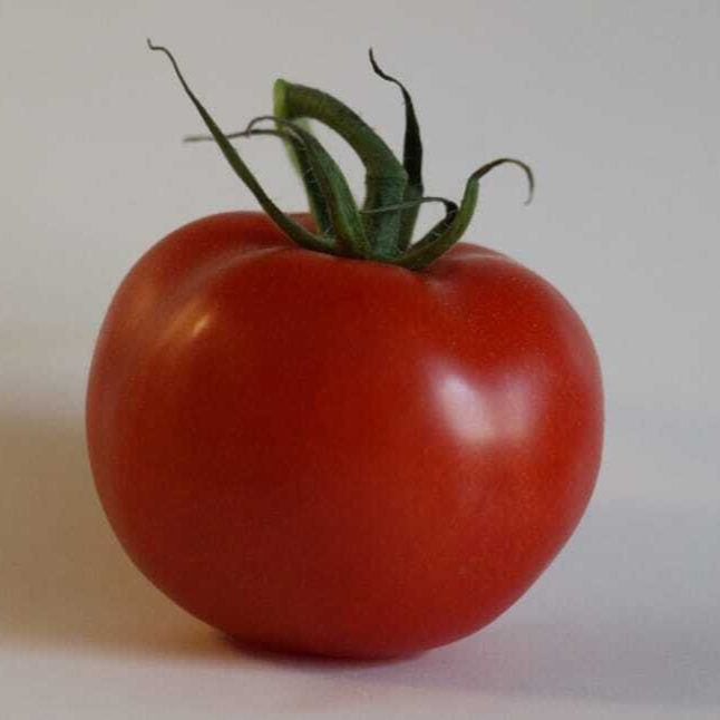 tomato-vegetables-red-food-cook-wallpaper-preview-resized.jpg