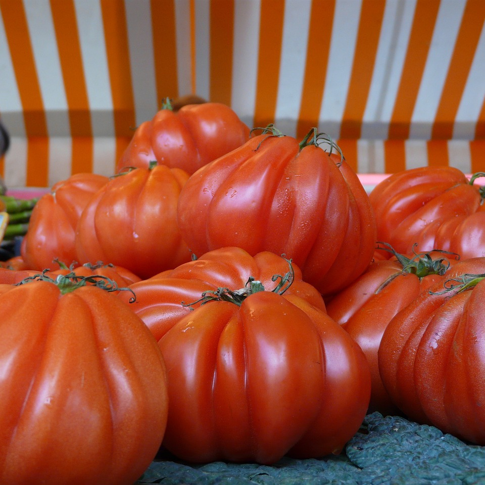 tomatoes-4840032_1280-resized.jpg