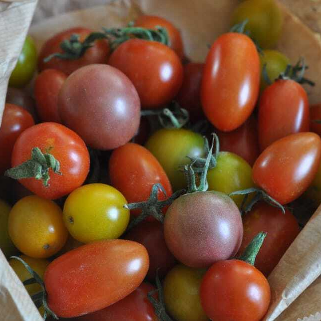 tomatoes-cherry-tomatoes-wallpaper-preview-resized.jpg