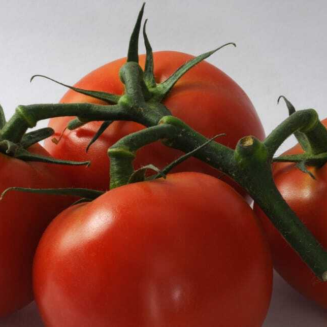 tomatoes-fresh-food-vegetable-wallpaper-preview-resized.jpg