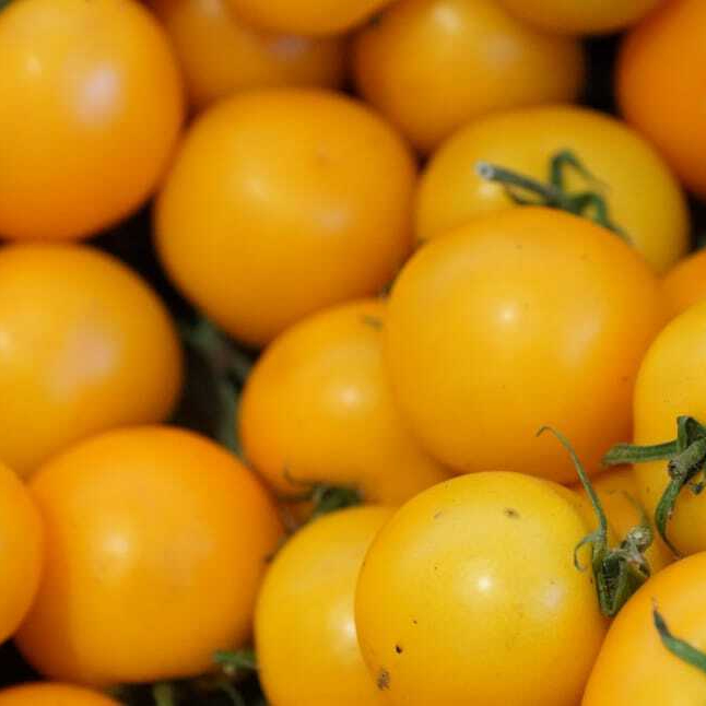 tomatoes-healthy-yellow-vegetables-wallpaper-preview-resized.jpg