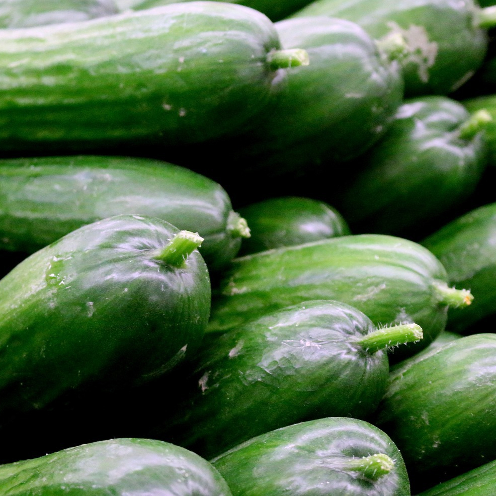 vegetable-3129062_1280-resized.jpg