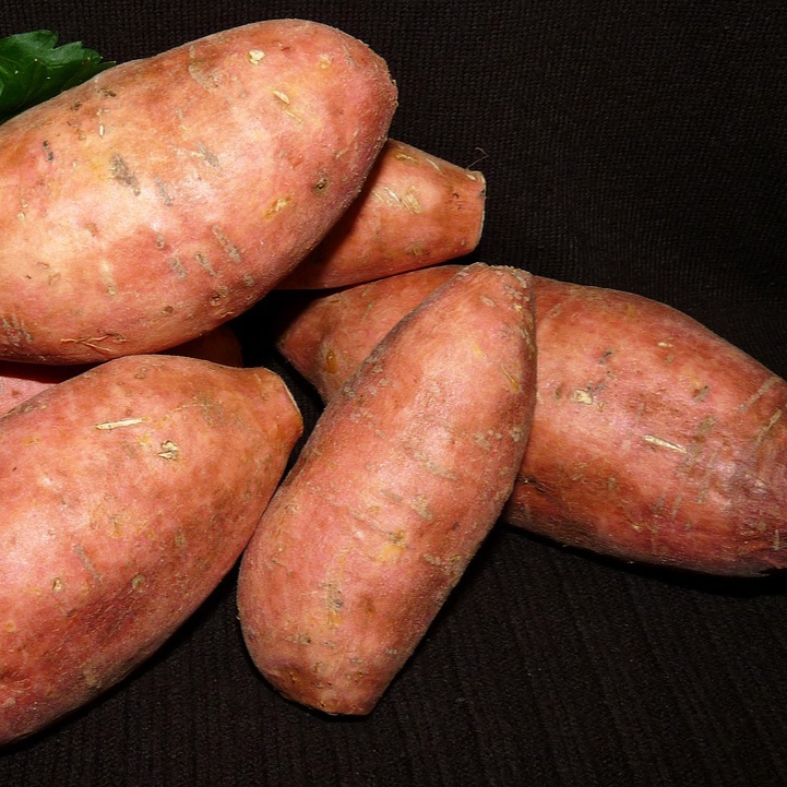 vegetable-3559112_1280-resized.jpg