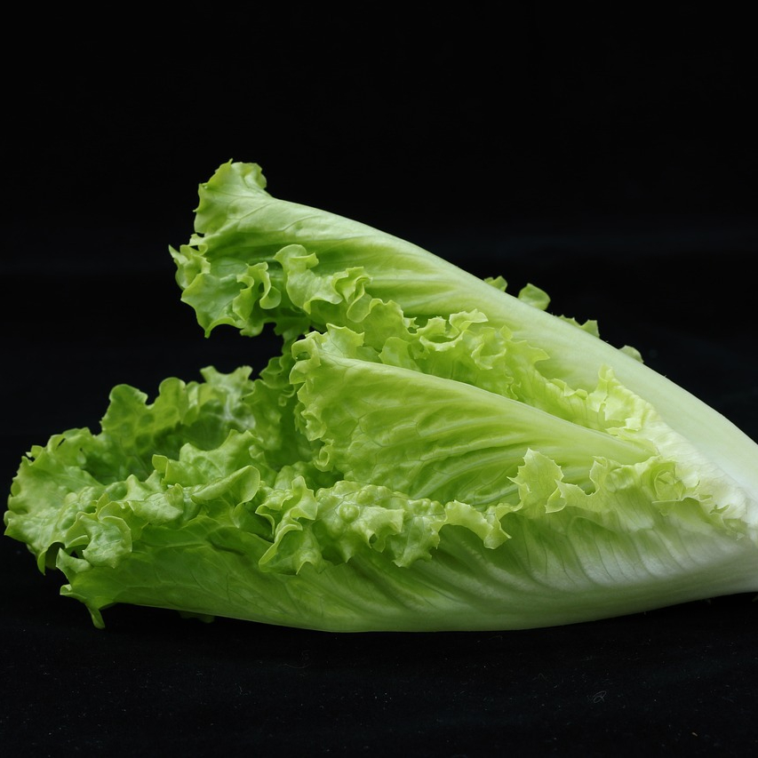 vegetable-5554160_1280-resized.jpg