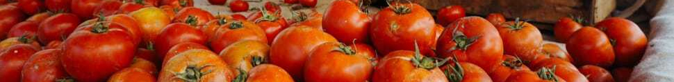 vegetable-red-tomato-plant-wallpaper-preview-resized.jpg