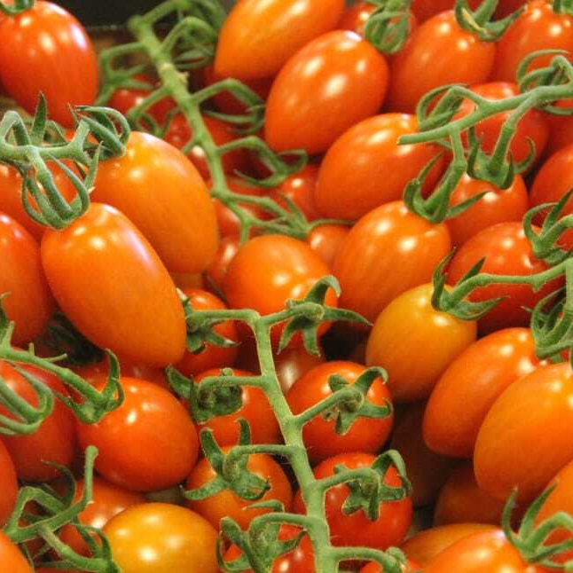 vegetable-tomatoes-tomato-food-wallpaper-preview-resized.jpg