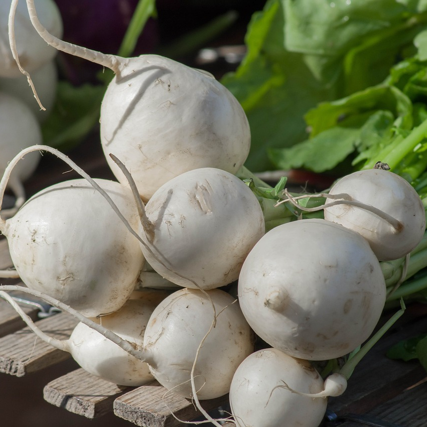 vegetables-3727956_1280-resized.jpg
