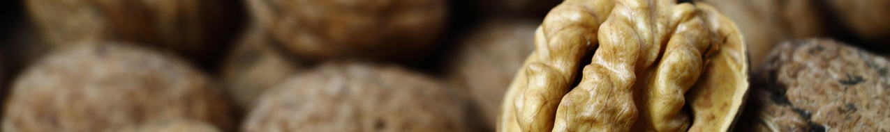 walnut-4228348_1280-resized.jpg