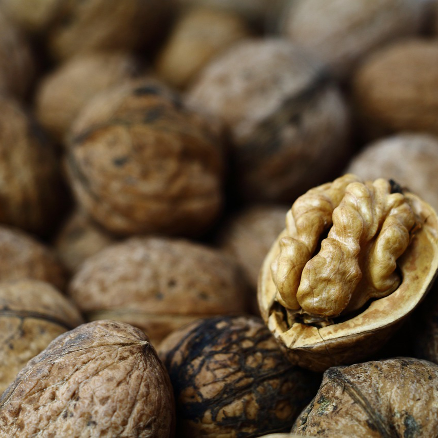 walnut-4228348_1280-resized.jpg