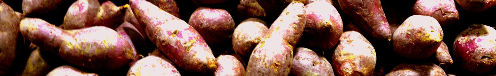 yams-resized.jpg