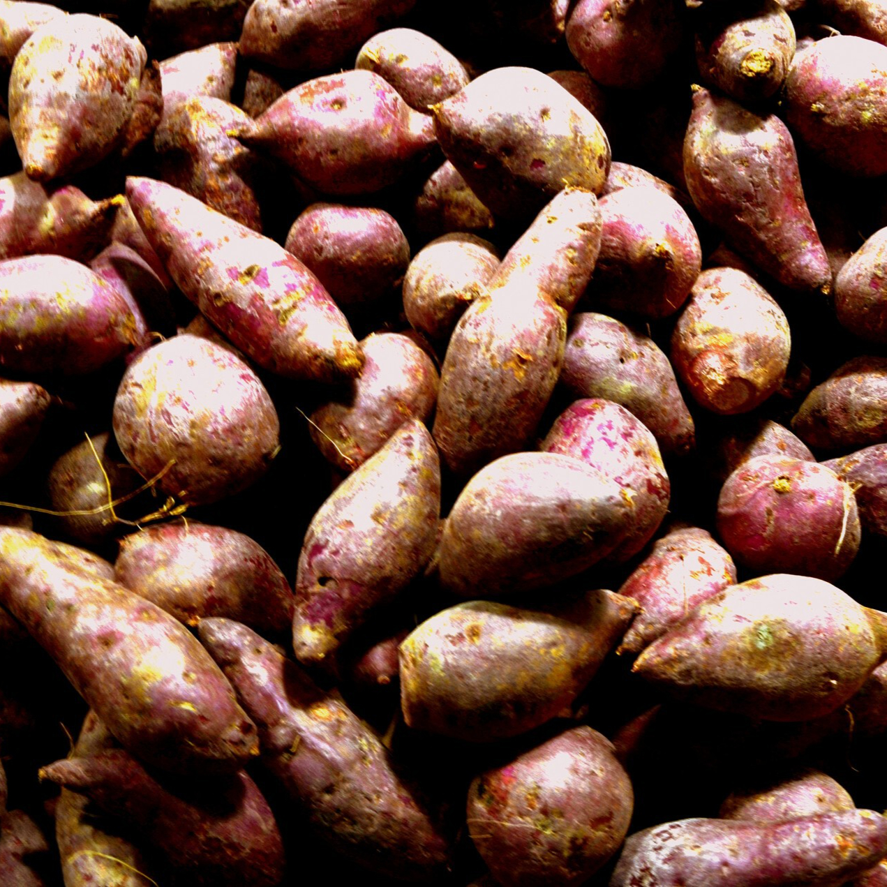 yams-resized.jpg