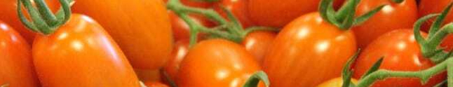 vegetable-tomatoes-tomato-food-wallpaper-preview-resized.jpg
